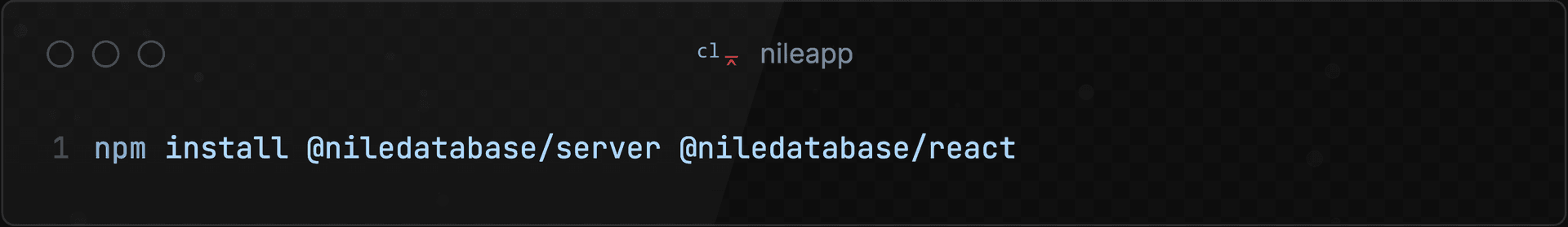 /blog/2025-03-10-introducing-nile-auth/sdkinstall.png