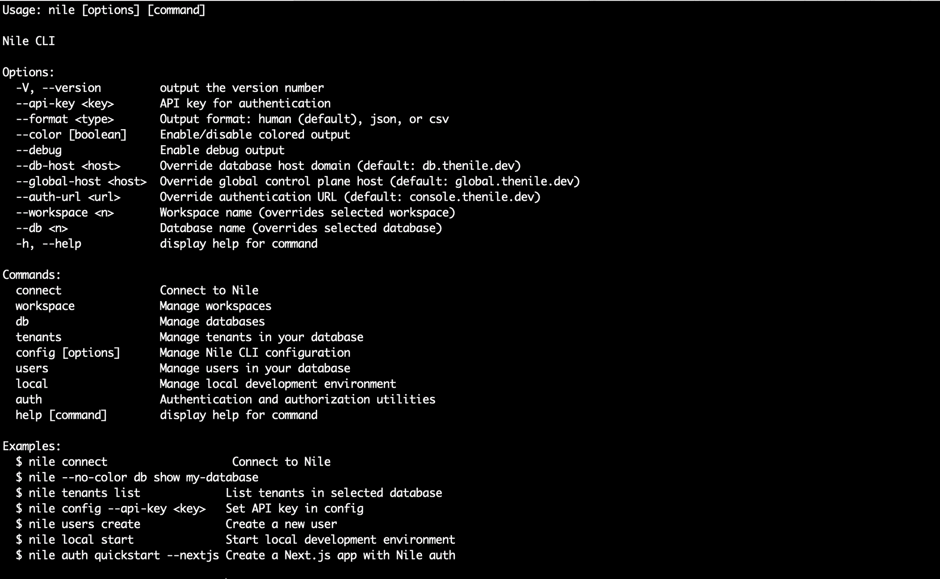 /blog/2025-03-12-introducing-nile-cli/usingnileforworkspace.png