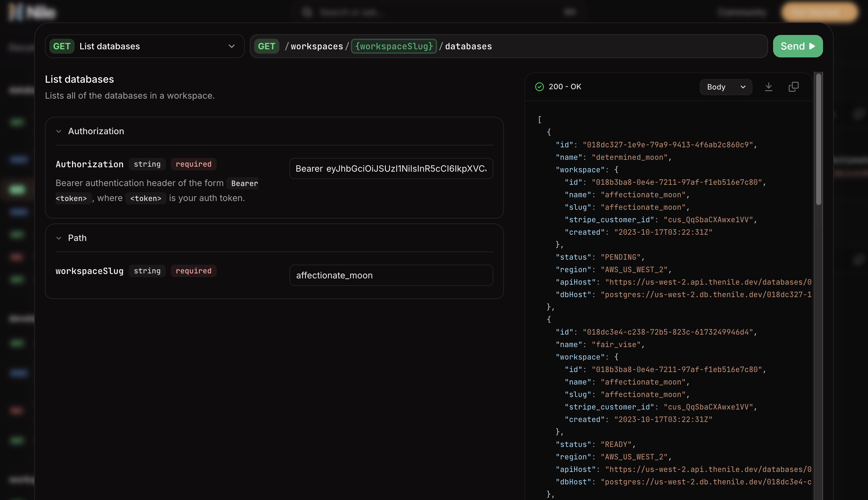 API docs in action